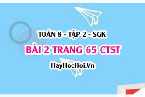 Bài 2 trang 65 Toán 8 Tập 2 Chân trời sáng tạo